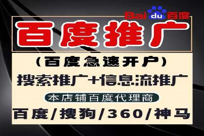 百度网络推广实战案例：从零开始打造爆款品牌